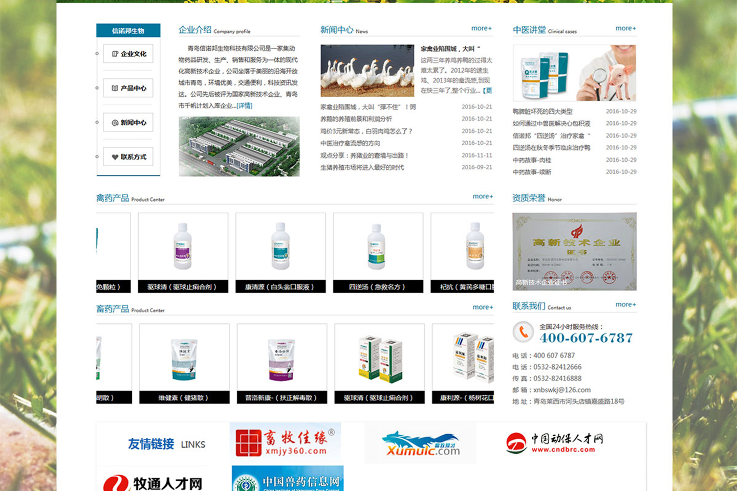 网站建设