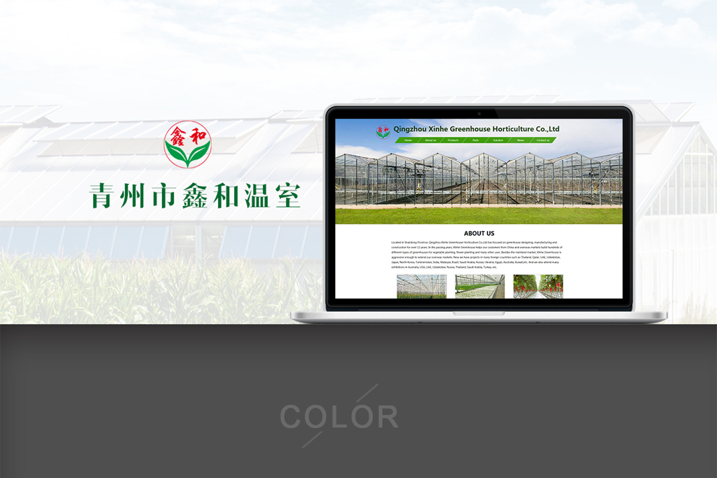 网站建设
